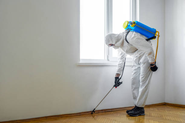 Best Real Estate Pest Inspections  in Foothill Farms, CA